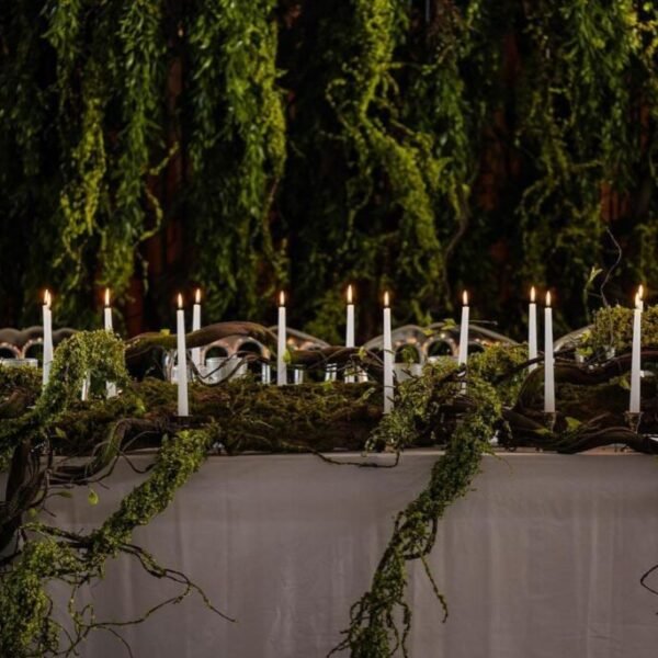 WhatsApp Image 2025-07-03 at 20.47.36 (8) WhatsApp Image 2025-07-03 at 20.47.36 (8)