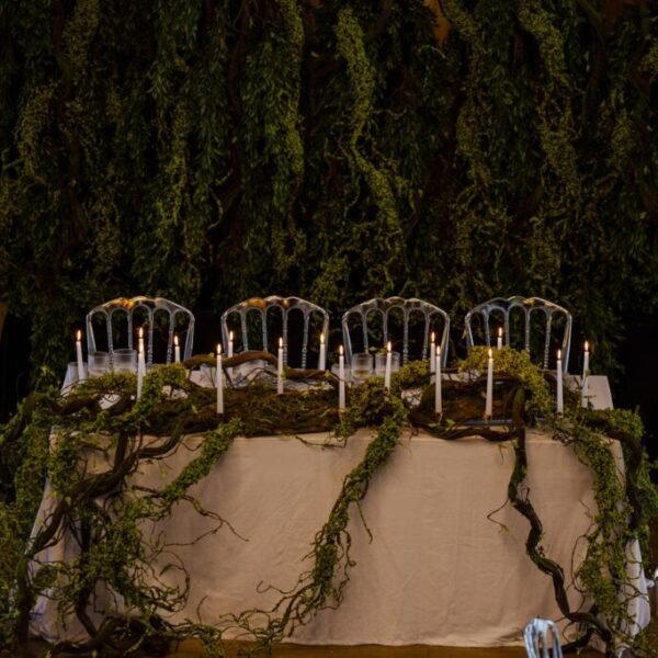 WhatsApp Image 2025-07-03 at 20.47.38 (5) WhatsApp Image 2025-07-03 at 20.47.38 (5)