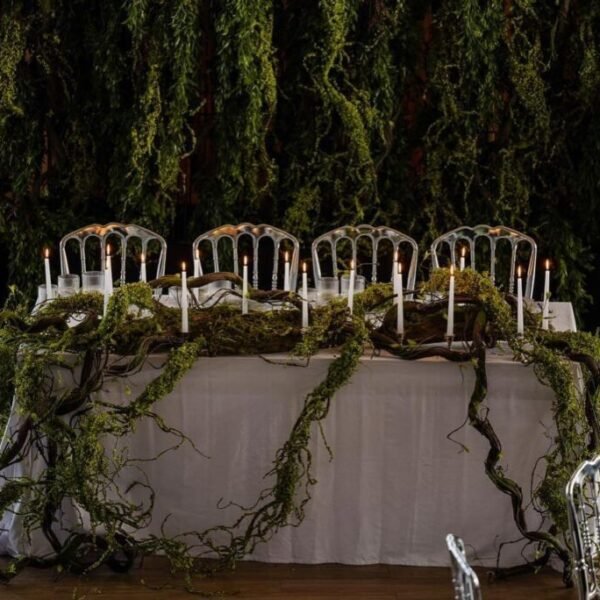 WhatsApp Image 2025-07-03 at 20.47.40 (2) WhatsApp Image 2025-07-03 at 20.47.40 (2)