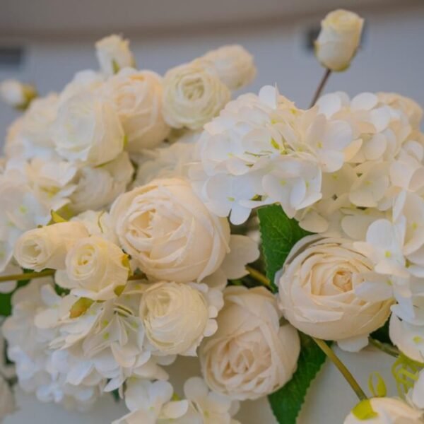 WhatsApp Image 2025-07-03 at 20.47.40 (7) WhatsApp Image 2025-07-03 at 20.47.40 (7)